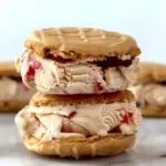 Peanut Butter and Jelly Ice Cream Sandwich